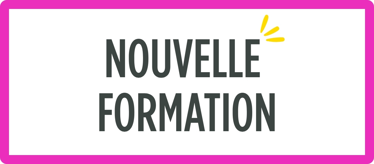 Nouvelle formation : licence pro logistique pour les opérateurs de transport public